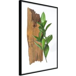 Arkiio Affisch Fascinating Nature [Poster] 30x45 Poster